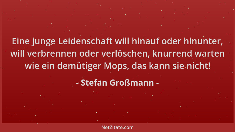 Stefan Großmann - Eine junge Leidenschaft will hinauf oder hinunter, will verbrennen oder verlöschen, knurrend warten wie e...