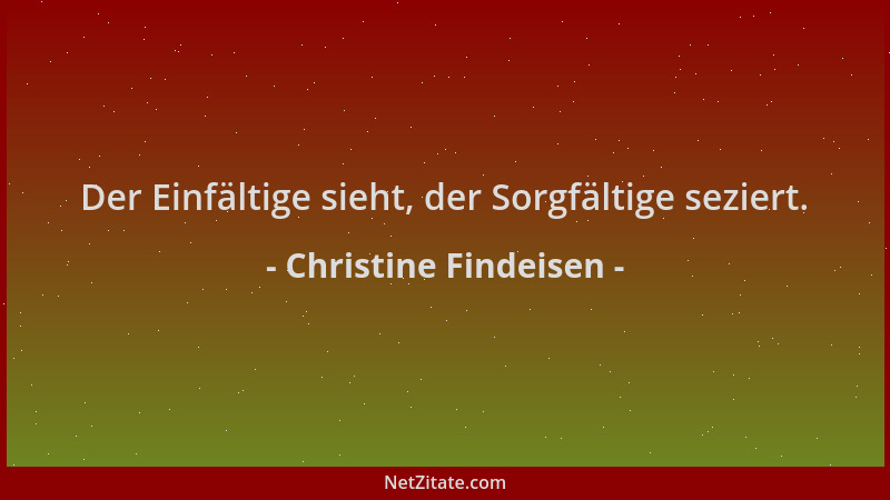 Christine Findeisen - Der Einfältige sieht, der Sorgfältige seziert....