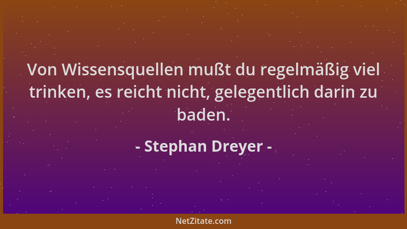 Stephan Dreyer - Von Wissensquellen mußt du regelmäßig viel trinken, es reicht nicht, gelegentlich darin zu baden....