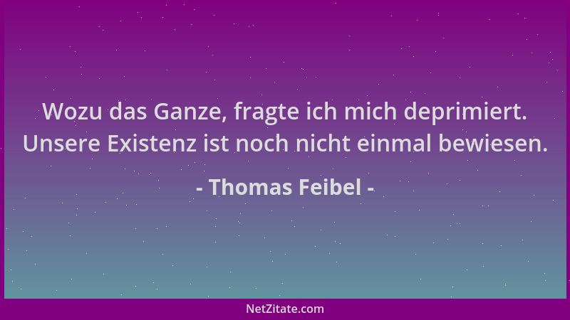 Thomas Feibel - Wozu das Ganze, fragte ich mich deprimiert. Unsere Existenz ist noch nicht einmal bewiesen....