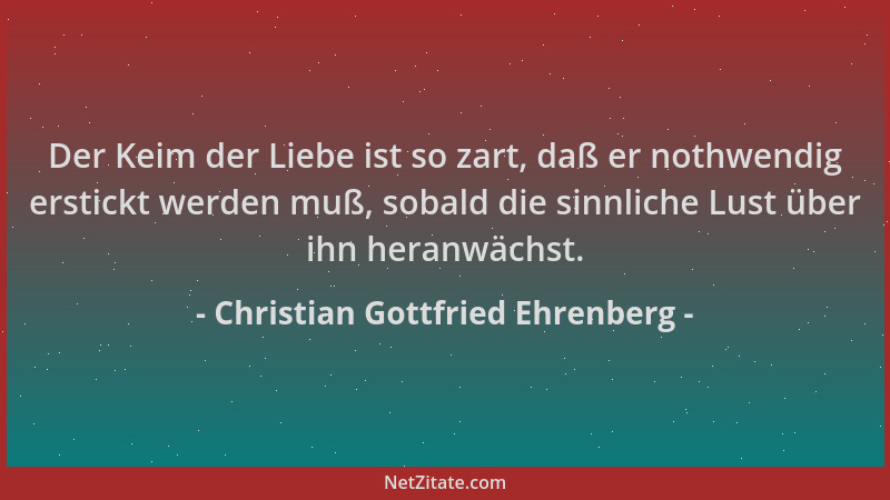Christian Gottfried Ehrenberg - Der Keim der Liebe ist so zart, daß er nothwendig erstickt werden muß, sobald die sinnliche...