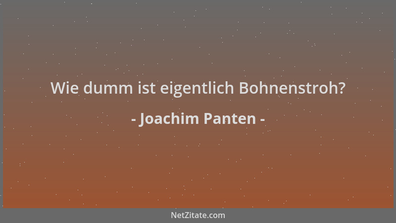 Joachim Panten - Wie dumm ist eigentlich Bohnenstroh?...