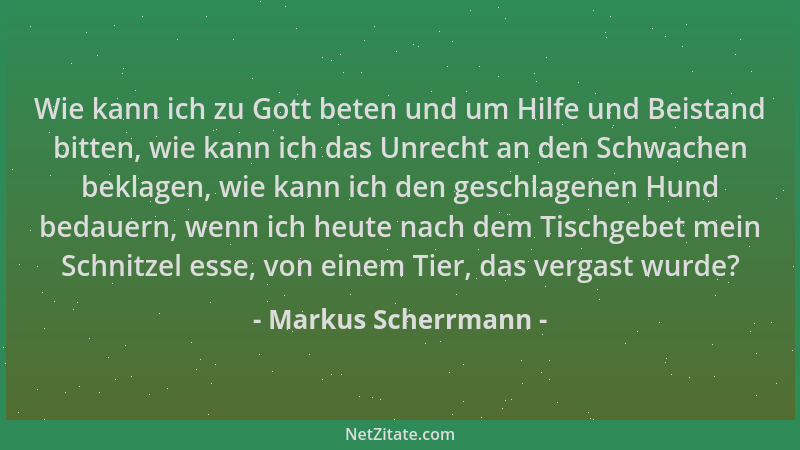 Markus Scherrmann - Wie kann ich zu Gott beten und um Hilfe und Beistand bitten, wie kann ich das Unrecht an den Schwachen...