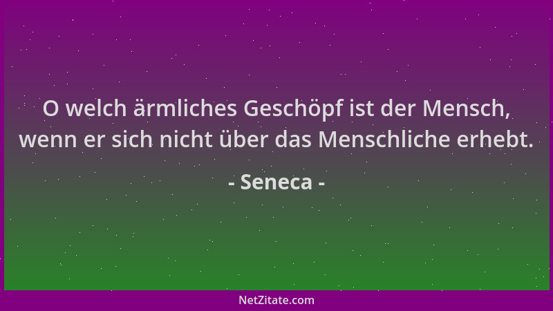 Seneca - O welch ärmliches Geschöpf ist der Mensch, wenn er sich nicht über das Menschliche erhebt....