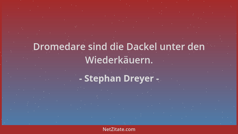 Stephan Dreyer - Dromedare sind die Dackel unter den Wiederkäuern....