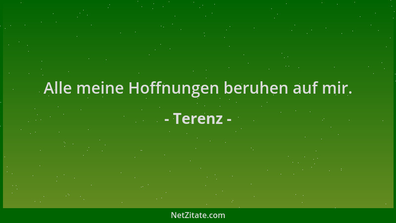 Terenz - Alle meine Hoffnungen beruhen auf mir....
