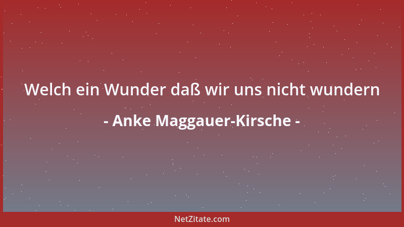 Anke Maggauer-Kirsche - Paradox: man kämpft mit Kriegen für den Frieden...