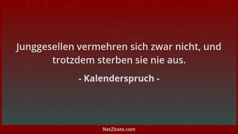 Kalenderspruch - Junggesellen vermehren sich zwar nicht, und trotzdem sterben sie nie aus....