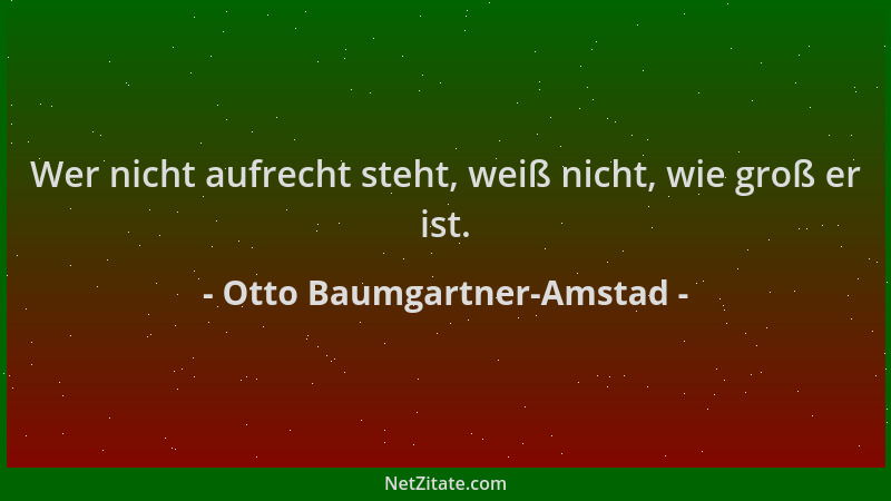 Otto Baumgartner-Amstad - Wer nicht aufrecht steht, weiß nicht, wie groß er ist....