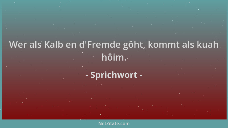 Sprichwort - Wer als Kalb en d 'Fremde gôht, kommt als kuah hôim....