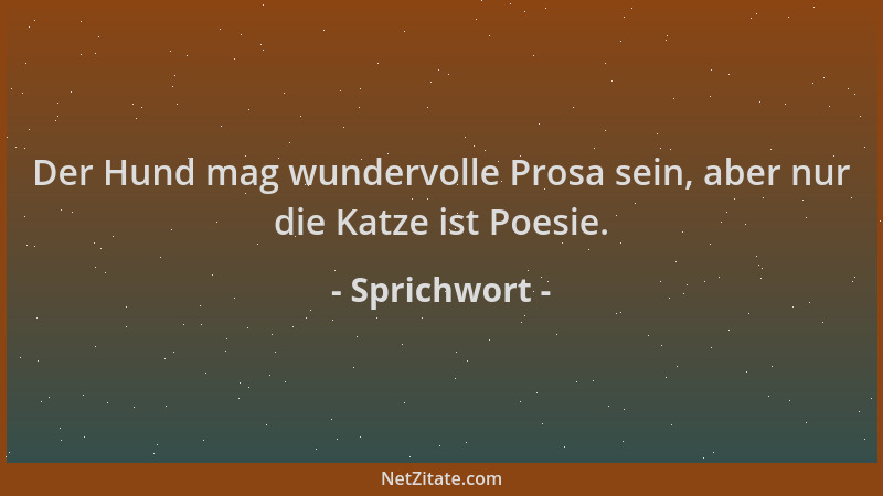 Sprichwort - Der Hund mag wundervolle Prosa sein, aber nur die Katze ist Poesie....
