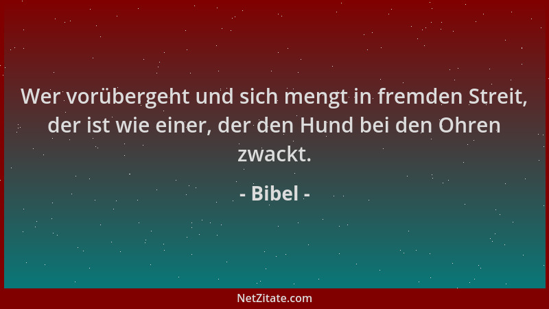Bibel - Wer vorübergeht und sich mengt in fremden Streit, der ist wie einer, der den Hund bei den Ohren zwackt....