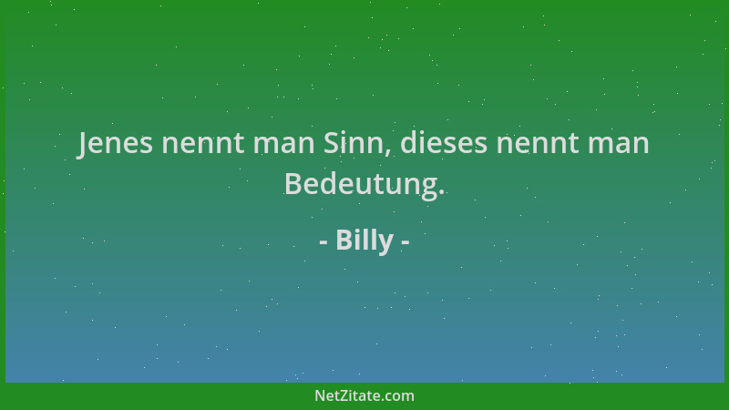 Billy - Jenes nennt man Sinn, dieses nennt man Bedeutung....