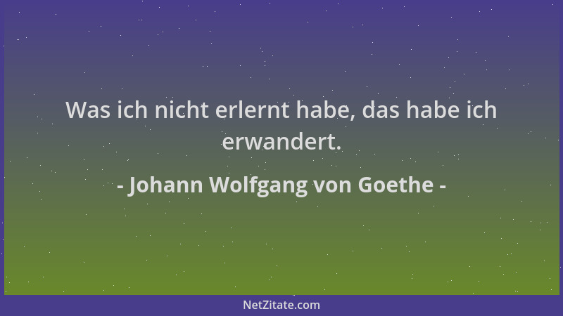 Johann Wolfgang von Goethe - Was ich nicht erlernt habe, das habe ich erwandert....