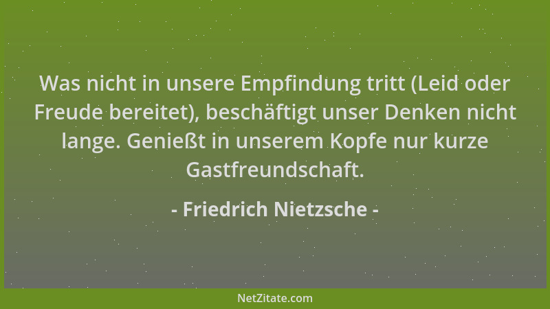 Friedrich Nietzsche - Was nicht in unsere Empfindung tritt (Leid oder Freude bereitet), beschäftigt unser Denken nicht lang...