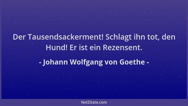Johann Wolfgang von Goethe - Der Tausendsackerment! Schlagt ihn tot, den Hund! Er ist ein Rezensent....