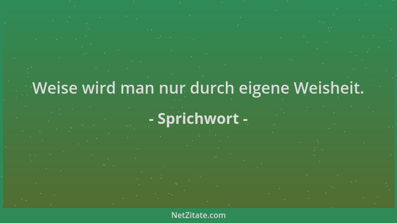 Sprichwort - Weise wird man nur durch eigene Weisheit....