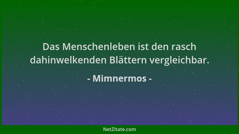 Mimnermos - Das Menschenleben ist den rasch dahinwelkenden Blättern vergleichbar....