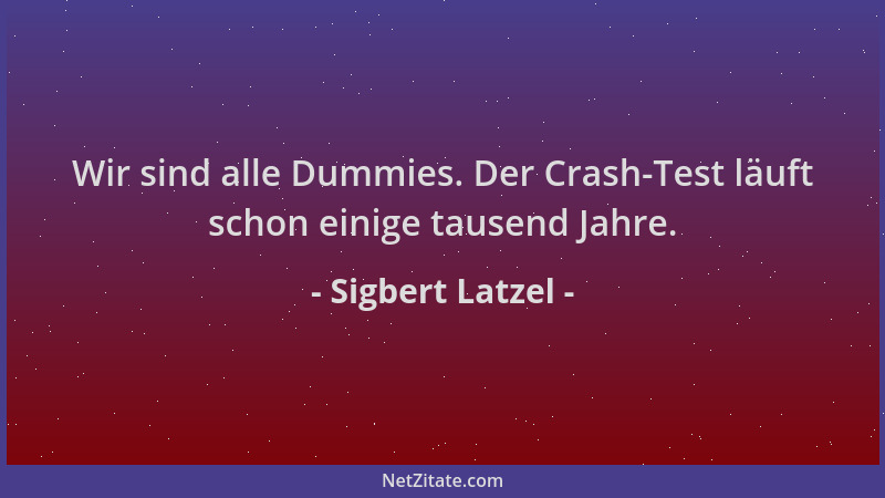 Sigbert Latzel - Wir sind alle Dummies. Der Crash-Test läuft schon einige tausend Jahre....