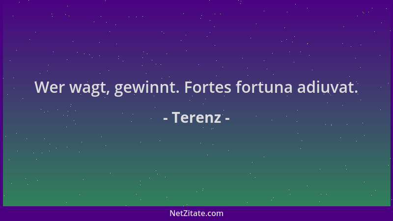 Terenz - Wer wagt, gewinnt. Fortes fortuna adiuvat....