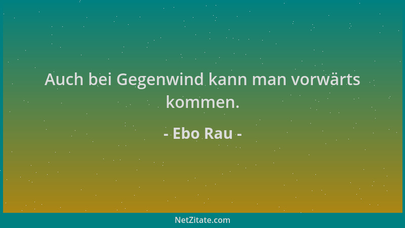 Ebo Rau - Auch bei Gegenwind kann man vorwärts kommen....