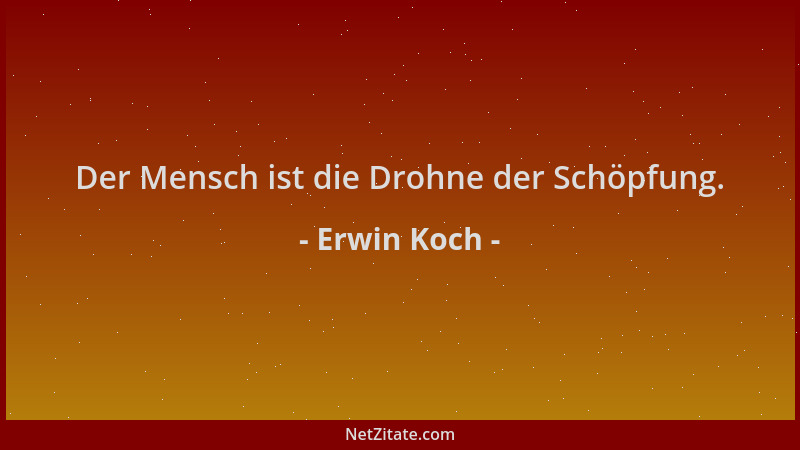 Erwin Koch - Der Mensch ist die Drohne der Schöpfung....