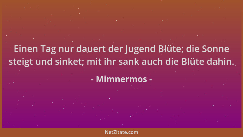 Mimnermos - Einen Tag nur dauert der Jugend Blüte; die Sonne steigt und sinket; mit ihr sank auch die Blüte dahin....