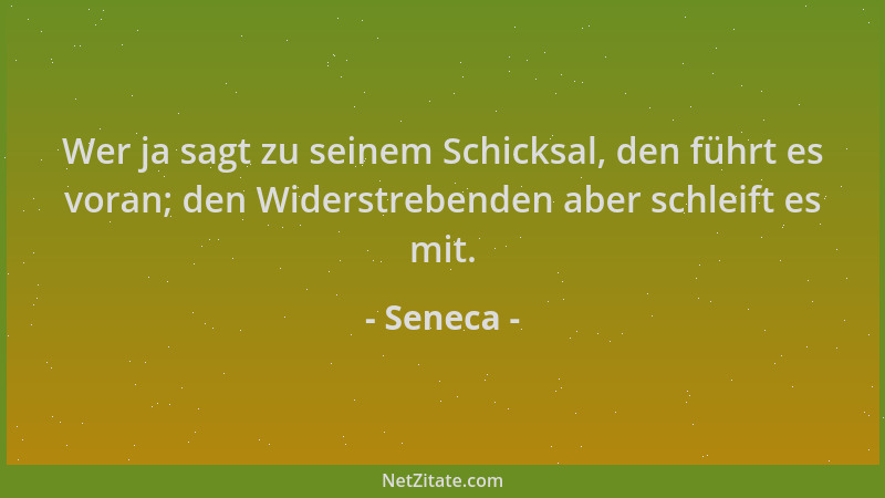 Seneca - Wer ja sagt zu seinem Schicksal, den führt es voran; den Widerstrebenden aber schleift es mit....