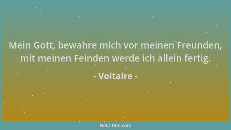 Voltaire - Mein Gott, bewahre mich vor meinen Freunden, mit meinen Feinden werde ich allein fertig....