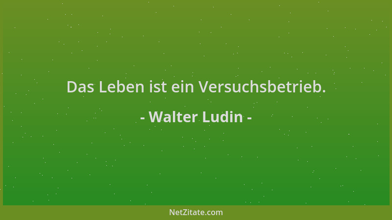 Walter Ludin - Das Leben ist ein Versuchsbetrieb....