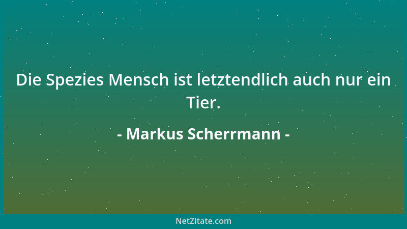Markus Scherrmann - Die Triebfeder der Dummen ist die Ignoranz....