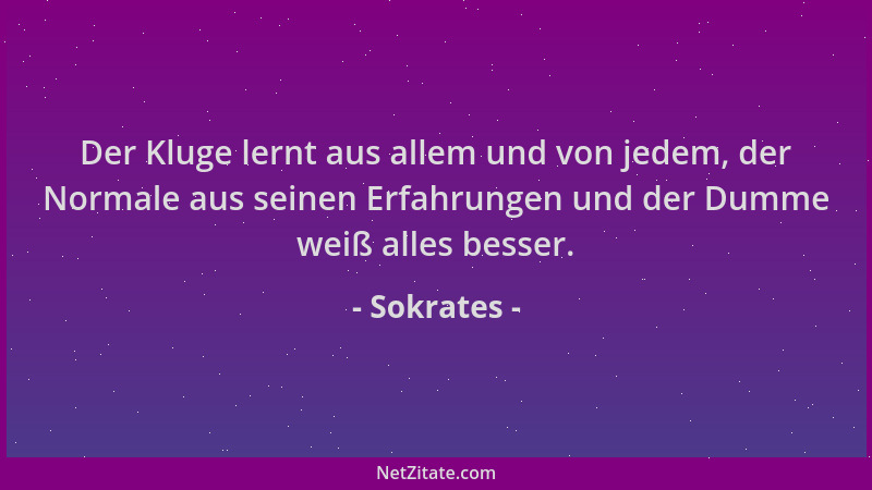 Sokrates - Der Kluge lernt aus allem und von jedem, der Normale aus seinen Erfahrungen und der Dumme weiß alles besser....