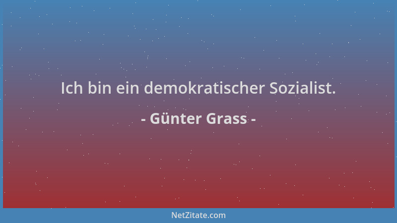 Günter Grass - Ich bin ein demokratischer Sozialist....