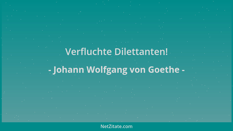 Johann Wolfgang von Goethe - Verfluchte Dilettanten!...