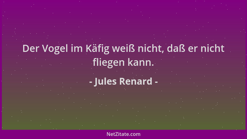 Jules Renard - Der Vogel im Käfig weiß nicht, daß er nicht fliegen kann....