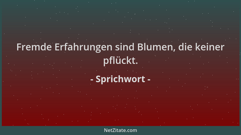 Sprichwort - Fremde Erfahrungen sind Blumen, die keiner pflückt....
