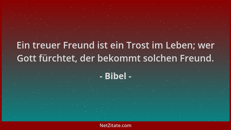 Bibel - Ein treuer Freund ist ein Trost im Leben; wer Gott fürchtet, der bekommt solchen Freund....