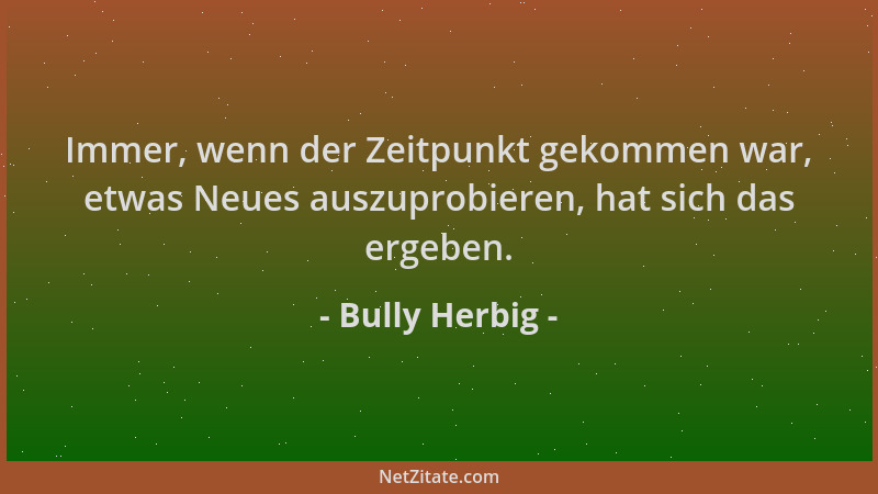 Bully Herbig - Immer, wenn der Zeitpunkt gekommen war, etwas Neues auszuprobieren, hat sich das ergeben....