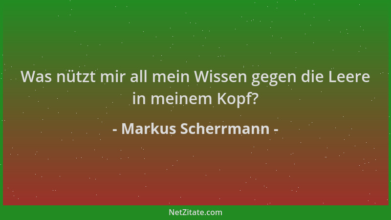 Markus Scherrmann - Was nützt mir all mein Wissen gegen die Leere in meinem Kopf?...
