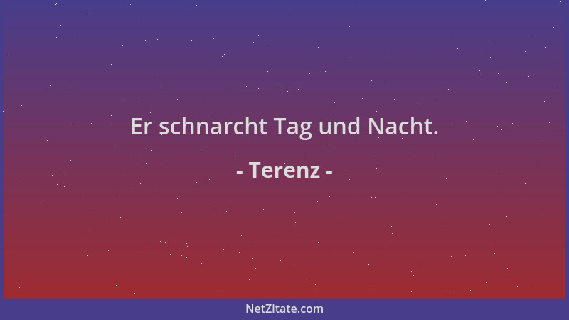 Terenz - Er schnarcht Tag und Nacht....