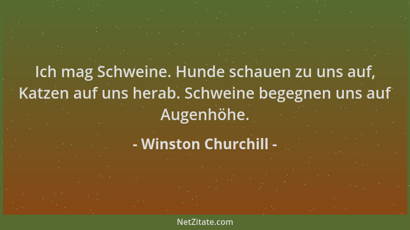 Winston Churchill - Ich mag Schweine. Hunde schauen zu uns auf, Katzen auf uns herab. Schweine begegnen uns auf Augenhöhe....