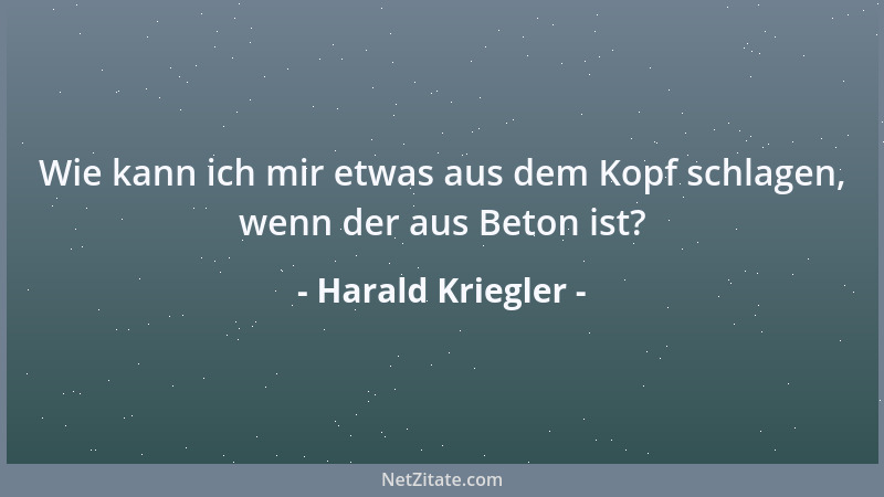 Harald Kriegler - Wie kann ich mir etwas aus dem Kopf schlagen, wenn der aus Beton ist?...
