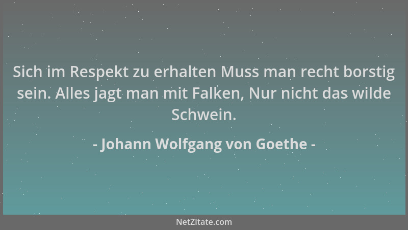 Johann Wolfgang von Goethe - Sich im Respekt zu erhalten Muss man recht borstig sein. Alles jagt man mit Falken, Nur nicht...