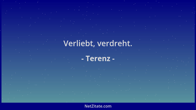 Terenz - Verliebt, verdreht....