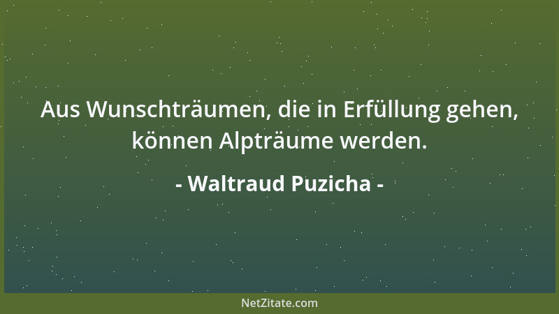 Waltraud Puzicha - Aus Wunschträumen, die in Erfüllung gehen, können Alpträume werden....