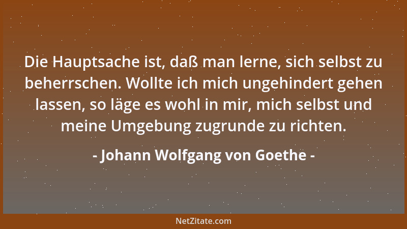 Johann Wolfgang von Goethe - Gewöhnliches Anschauen, richtige Ansicht der irdischen Dinge ist ein Erbteil des allgemeinen M...