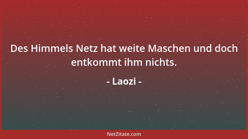 Laozi - Des Himmels Netz hat weite Maschen und doch entkommt ihm nichts....