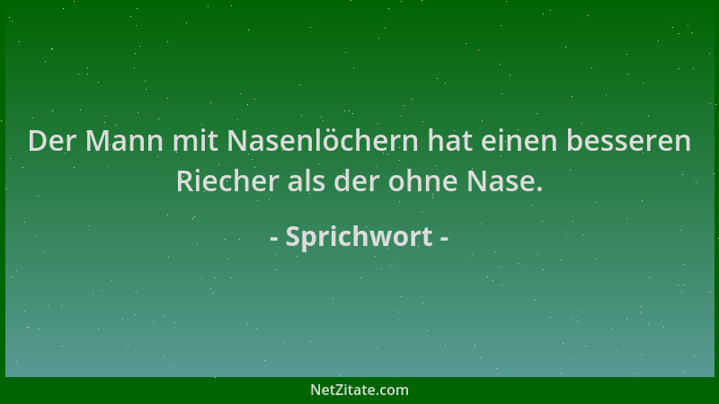 Sprichwort - Der Mann mit Nasenlöchern hat einen besseren Riecher als der ohne Nase....