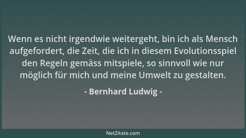 Bernhard Ludwig - Wenn es nicht irgendwie weitergeht, bin ich als Mensch aufgefordert, die Zeit, die ich in diesem Evolutio...
