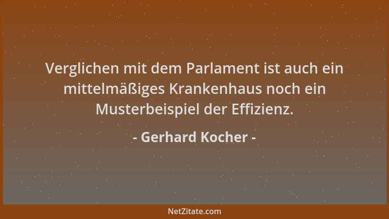 Gerhard Kocher - Verglichen mit dem Parlament ist auch ein mittelmäßiges Krankenhaus noch ein Musterbeispiel der Effizienz....